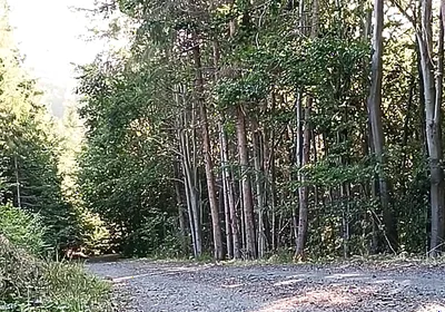 Scooter Rider Outdoor Masturbation