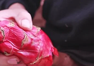 I Was So Horny I Used A Dragon Fruit To Jerk Off And Then Took A Long Piss