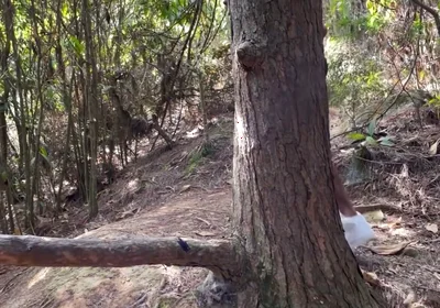 A Curious Heterosexual Boy Saw Me Masturbate in the Forest and We Ended up Fucking