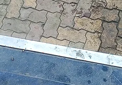 Desi Gay Boy Sucking Wife and Pussy