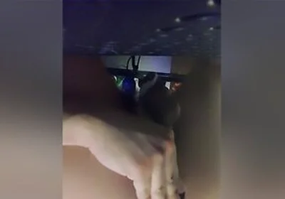 Shoved A Dildo Up My Ass Before Heading Out