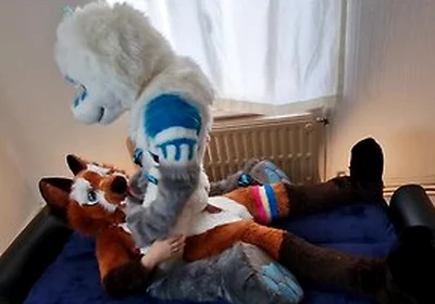 Matthew Fox Invited Snauwflake To Test His New Couch - ( Furry / Fursuit / Murrsuit)