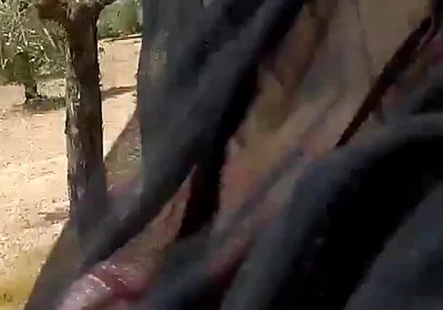 I Got Erect Wearing Sheer Boxers in Road