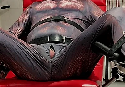 Playing Puppies the First Examination