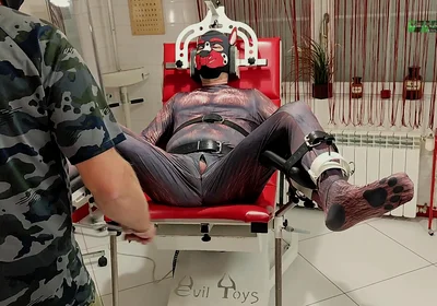 Playing Puppies the First Examination