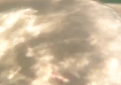 I Cum Just for the Pleasure of Feeling Free, Naked on a Public Beach