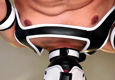Alpha Pup Hood Dominate You