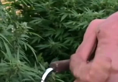 Cumshot Outdoors