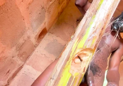 Long Big Out Side the Fucking Pussy Expatic