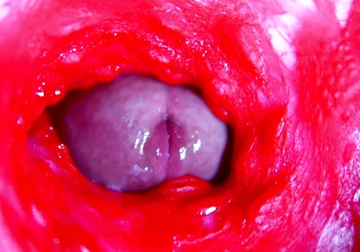 Extreme close-up ASMR head inside wet pussy