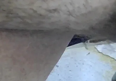 Five minutes of me masturbating (Failing NNN of 2022)