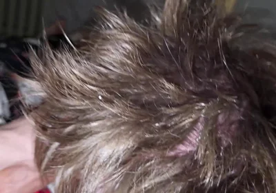 My Boy Know How to Swallow, No Cenz.