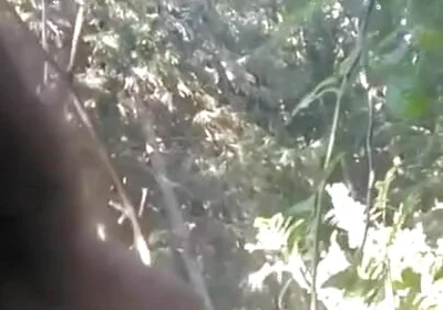 Pissing in My Backyard