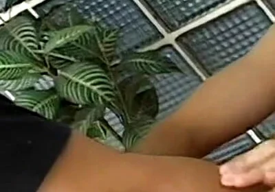 Hot Twinks Gay Fuck Action - Mutual Anal Creampie Switch Hitter