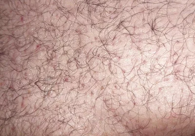 A Close up Ass Worshiping and Fingering