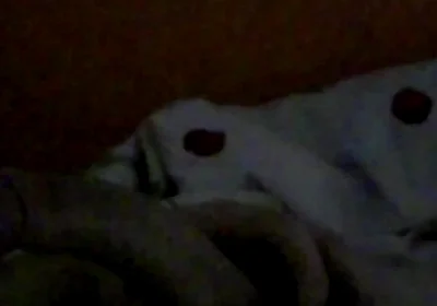 Morning Wood Masturbated