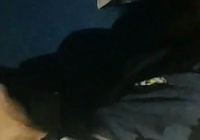 Watching Videos of Me Jerking