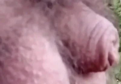 Pissing in the Woods