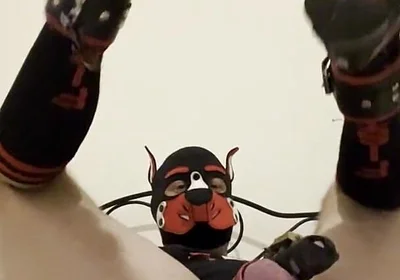 Gaping Gay Puppy Ass After Heavy Fisting Night