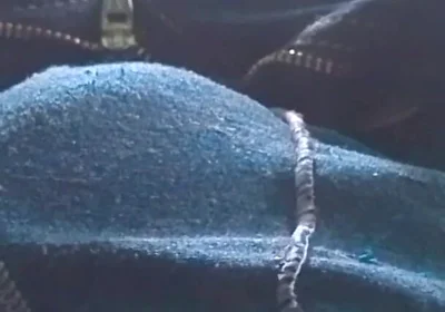 Something Little to Show for It