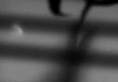 Lying with the Devil - Bara Yaoi