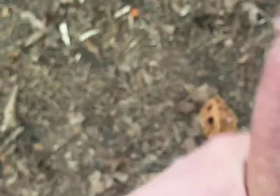 Solo Jerking off