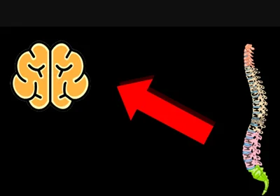 The Science Behind Male Multiple Orgasms