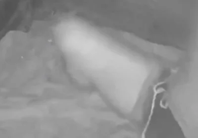 During His Jog, a Guy Discovers a Young Camper and Submits Him - Caught on Night Vision Cam
