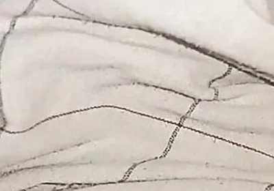 My Big Cock Without Condom Fucking Pussy