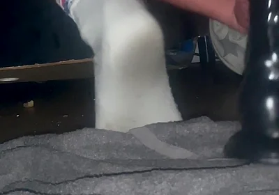 Tangaboy Stops the Asshole