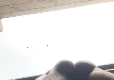 Doggy Bareback Below View
