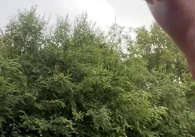 Jerking in the Woods