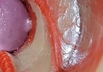 Compilation Creampie Part 2 POV