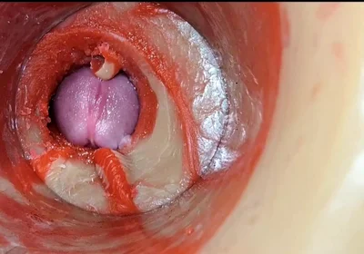 Compilation Creampie Part 2 POV