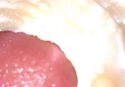 Compilation Creampie Part 4 POV