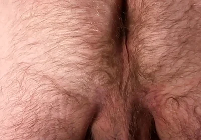 Would You Fuck That Hairy Bear Hole and Tickle Those Big Bear Balls?