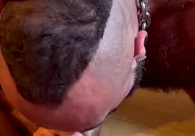 Hairy Males Fucking