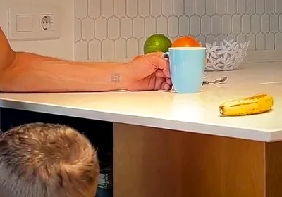 I Secretly Suck My Best Friend While My Wife Isn't Watching - His Dick Squirts Hard in My Mouth