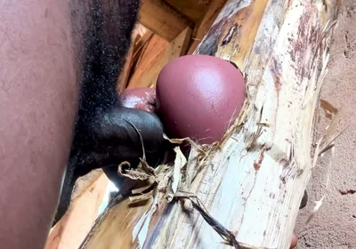Ass Is Very Sweet in My Prison Room