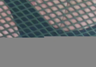 Show My Fat Ass and Balls on the Chair