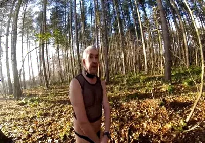 Cold Day in the Woods