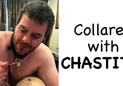 Pup Giving Me a Blowjob and Showing off