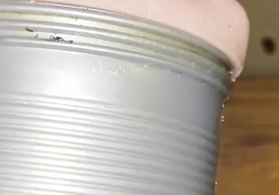 Deep Fucking My Fleshlight