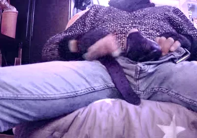 Stepdaddy Is Fooling Around Part 3 (cumming)