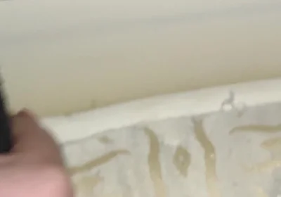 Crossdresser Twink Has Fetish to Massage His Daddy's Feet