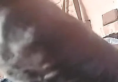 My Cock Is Very Hard and Long
