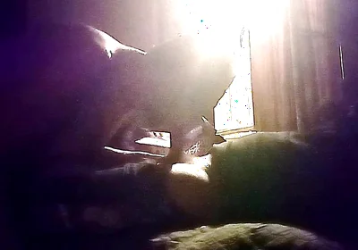 My Neighbor's Son Visits Me for Oral Sex in Secret