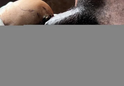 I Cum so Fast Because the Big Ass Is so Cool and Hard