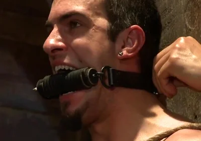 Phenix Rising - Phenix Saint And Patrick Rouge