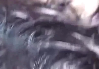 My Roommate Catches Me on Him and I Fuck His Ass Bareback, Creampie